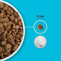 Acana Pacifica Adult Dry Dog Food 2 Kg. - 4