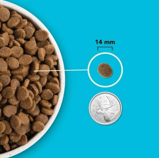 Acana Pacifica Tahılsız Balıklı Köpek Maması 11,4 Kg - 3