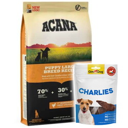 Acana Puppy Large Yavru Tahılsız Köpek Maması 17 Kg + Gimdog 70 Gr Köpek Ödülü - Acana