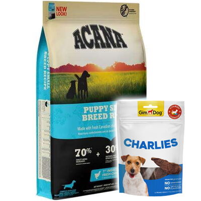 Acana Puppy Small Küçük Irk Yavru Tahılsız Köpek Maması 6 Kg + Gimdog 70 Gr Köpek Ödülü - 1