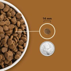 Acana Ranchlands Kuzu ve Bizon Etli Tahılsız Köpek Maması 11,4 Kg - 3