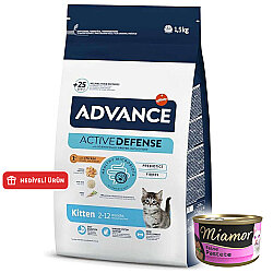 Advance Kitten Dry Cat Food 1,5 Kg. - Advance