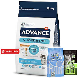 Advance Kitten Dry Cat Food 1,5 Kg. - Advance