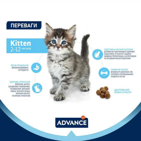 Advance Kitten Dry Cat Food 10 Kg. - 3