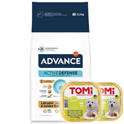 Advance - Advance Labrador Golden Retriever Irk Köpek Maması 11,5 Kg + 2 Adet Tomi Kuzu Pate 300 Gr Yaş Mama