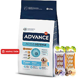 Advance Puppy Maxi Büyük Irk Yavru Köpek Maması 12 Kg + 4 Adet Garden Mix Burgu Kemik Ödül 70 Gr - Advance