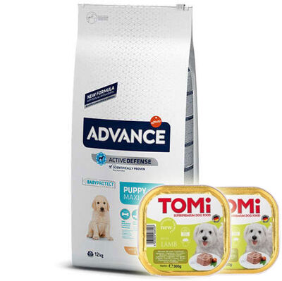 Advance Puppy Maxi Büyük Irk Yavru Köpek Maması 12 Kg + 2 Adet Tomi Kuzu Pate 300 Gr Yaş Mama