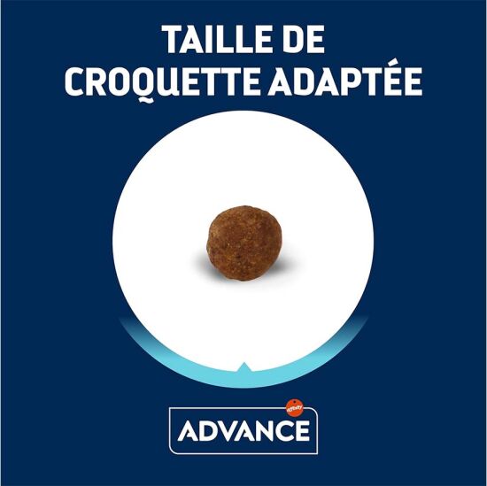 Advance Yorkshire Terrier Adult Dry Dog Food 1,5 Kg. - 3