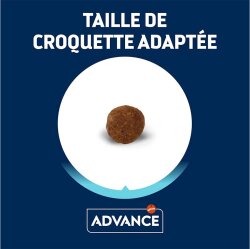Advance Yorkshire Terrier Irk Köpek Maması 1,5 Kg + Temizlik Mendili - 3