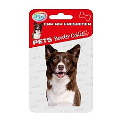 Airgut Pets Araba Kokusu Border Collie - Airgut