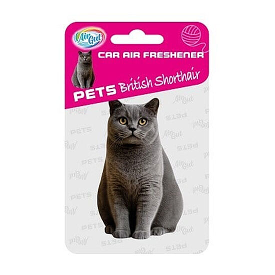 Airgut Pets Araba Kokusu British Shorthair - 1