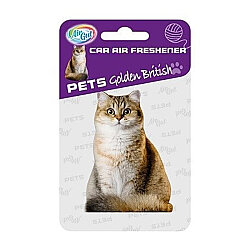 Airgut Pets Araba Kokusu Golden British - Airgut