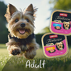 Animonda 82359 Tavuk ve Kaz Etli Mini Irk Köpek Konservesi 100 Gr - 2