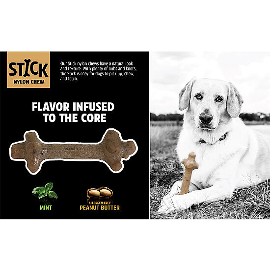 BarkBone Natural Nane Aromalı Köpek Çiğneme Kemiği (Orta Boy) - 4