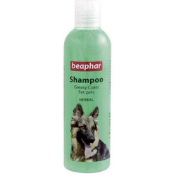 Beaphar - Beaphar 018288 Herbal Yağlı Ciltler İçin Bitkisel Köpek Şampuanı 250 ML