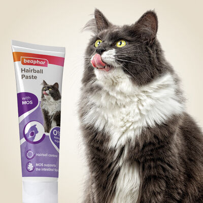 Beaphar Anti Hairball Duo Malt Paste For Cats 100 Gr.