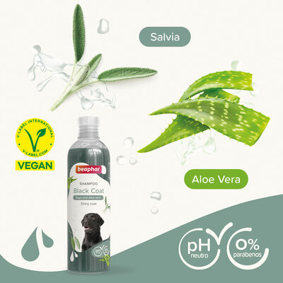 Beaphar Black Coats Aloe Vera Shampoo For Black Coated Dogs 250 Ml.