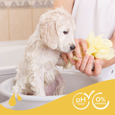 Beaphar Puppy Macadamia Shampoo For Puppy Dogs 250 Ml.