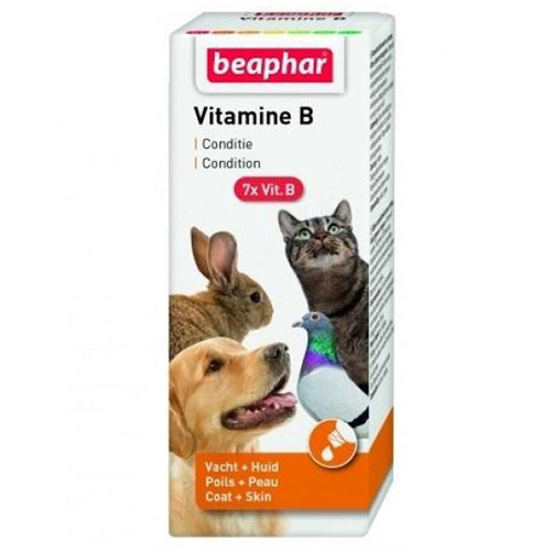 Beaphar Vitamin B Kedi Kopek Kus Ve Kemirgen Vitamin Takviyesi 50 Ml Multivitamin Kus Yemi Katkisi Vitamin Vitamin Beaphar