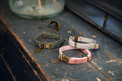 Beeztees DBL Kedi Boyun Tasması, Velur, Yeşil, 20-30cm