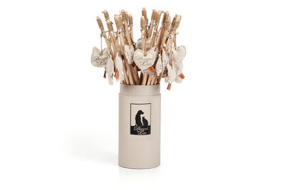 Beeztees DBL Kedi Oltası, Kalpli, Çeşitli Renklerde, 50cm - 2