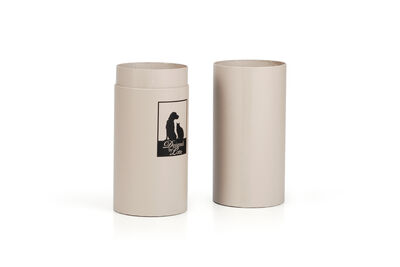 Beeztees DBL Kedi Oltası, Kalpli, Çeşitli Renklerde, 50cm - 3