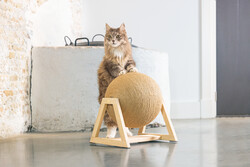 Beeztees DBL Kedi Tırmalama, 34x30x35,5cm - 2