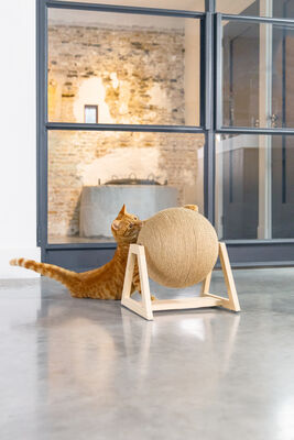 Beeztees DBL Kedi Tırmalama, 34x30x35,5cm - 3