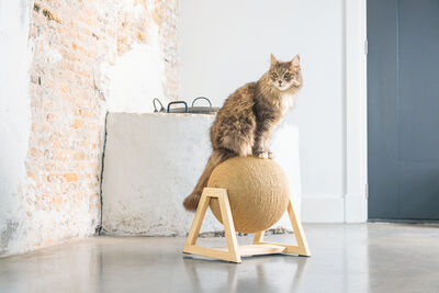 Beeztees DBL Kedi Tırmalama, 34x30x35,5cm - 8