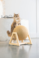 Beeztees DBL Kedi Tırmalama, 34x30x35,5cm - 9