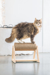 Beeztees DBL Kedi Tırmalama, 36x29,5x28cm - Thumbnail