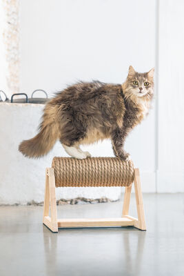 Beeztees DBL Kedi Tırmalama, 36x29,5x28cm