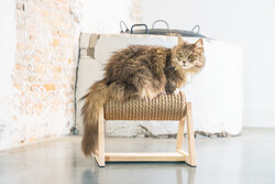 Beeztees DBL Kedi Tırmalama, 36x29,5x28cm - Thumbnail