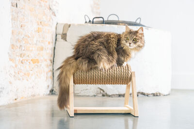 Beeztees DBL Kedi Tırmalama, 36x29,5x28cm