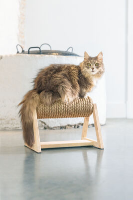 Beeztees DBL Kedi Tırmalama, 36x29,5x28cm