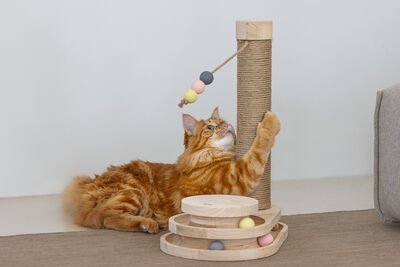 Beeztees DBL Kedi Tırmalama ve Oyuncağı, 38x24,5x47,5cm - 5