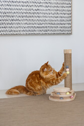 Beeztees DBL Kedi Tırmalama ve Oyuncağı, 38x24,5x47,5cm - 7