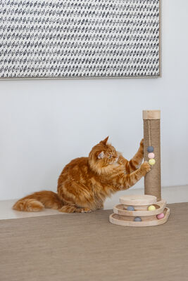 Beeztees DBL Kedi Tırmalama ve Oyuncağı, 38x24,5x47,5cm - 7