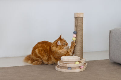 Beeztees DBL Kedi Tırmalama ve Oyuncağı, 38x24,5x47,5cm - 8