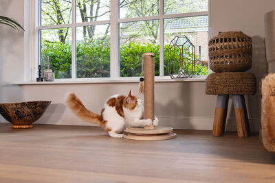 Beeztees DBL Kedi Tırmalama ve Oyuncağı, Kahverengi, 39,5x39,5x62cm - 6