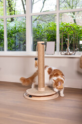 Beeztees DBL Kedi Tırmalama ve Oyuncağı, Kahverengi, 39,5x39,5x62cm - 10