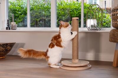 Beeztees DBL Kedi Tırmalama ve Oyuncağı, Kahverengi, 39,5x39,5x62cm - 14