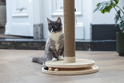 Beeztees DBL Kedi Tırmalama ve Oyuncağı, Kahverengi, 39,5x39,5x62cm - 15