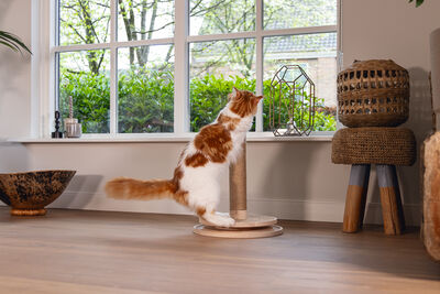 Beeztees DBL Kedi Tırmalama ve Oyuncağı, Kahverengi, 39,5x39,5x62cm - 17