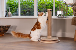 Beeztees DBL Kedi Tırmalama ve Oyuncağı, Kahverengi, 39,5x39,5x62cm - 18