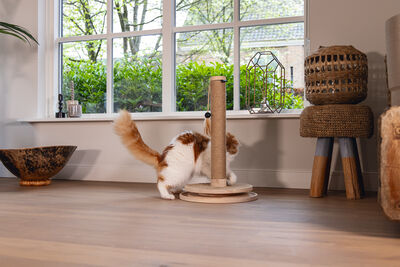 Beeztees DBL Kedi Tırmalama ve Oyuncağı, Kahverengi, 39,5x39,5x62cm - 21