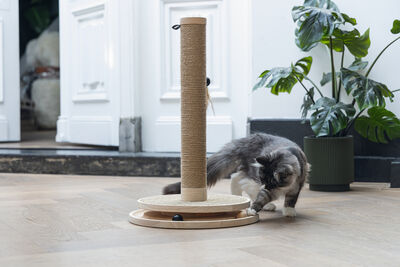 Beeztees DBL Kedi Tırmalama ve Oyuncağı, Kahverengi, 39,5x39,5x62cm - 22