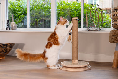 Beeztees DBL Kedi Tırmalama ve Oyuncağı, Kahverengi, 39,5x39,5x62cm - 24