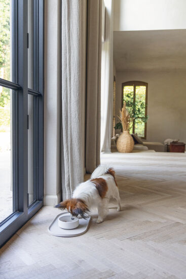 Beeztees DBL Köpek Mama Su Kabı, Bambu, Bej, 14cm, 410ml - 1