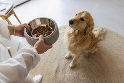 Beeztees DBL Köpek Mama Su Kabı, Dışı Beton, Paslanmaz Çelik, 20cm, 700ml - 2